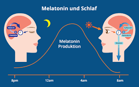 nebenwirkungen von melatonin