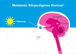 melatonin wieviel mg