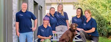 ambulanter pflegedienst