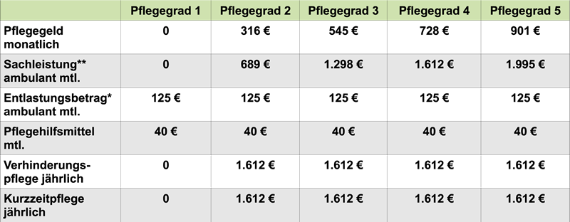 leistungen bei pflegegrad 1
